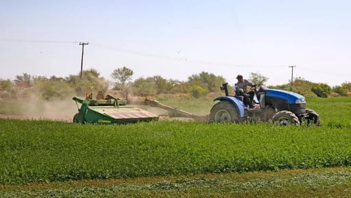 Buscan que el apoyo para los campesinos afectados por diez años de sequía sea continuo.  Saltillo, Coahuila, 4 de diciembre de 2025.- Ante los diez años