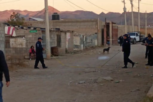 Un niño de dos años murió tras ser arrollado por una camioneta de carga en Chihuahua, desatando consternación vecinal y una investigación para esclarecer