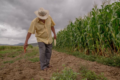 Un colectivo de productores presentó un paquete de propuestas estratégicas para enfrentar la crisis del campo y recuperar la soberanía alimentaria.  El Frente