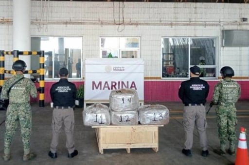 Elementos de la Marina aseguraron 96 kilos de DMT en el puerto de Veracruz durante una inspección de rutina a mercancía declarada como mimosa cortada seca.