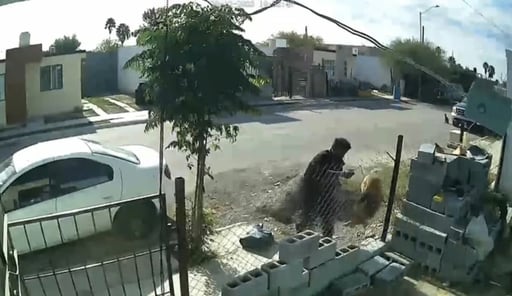 Una cámara de seguridad captó a un sujeto agrediendo a un perro en Sabinas; la víctima canina fue atendida y se encuentra estable.  En Sabinas, Coahuila,