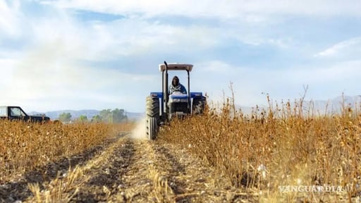 Coahuila cerró el 2025 con 71,8% de su territorio bajo condiciones de sequía, según datos del Monitor de Sequía de México (MSM), situación que impactó