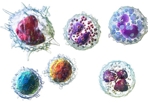 Uno de los principales retos de la inmunoterapia actual no solo consiste en lograr que el sistema inmunológico identifique a las células cancerosas, sino