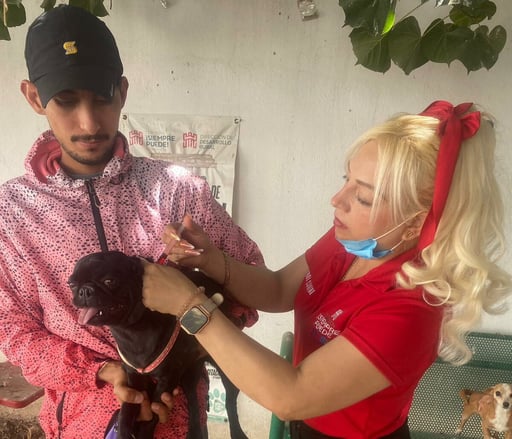 Las mascotas pueden recibir desparasitación externa a partir del mes de edad.   Torreón, Coahuila, a 25 de marzo de 2026.- Con el objetivo de prevenir