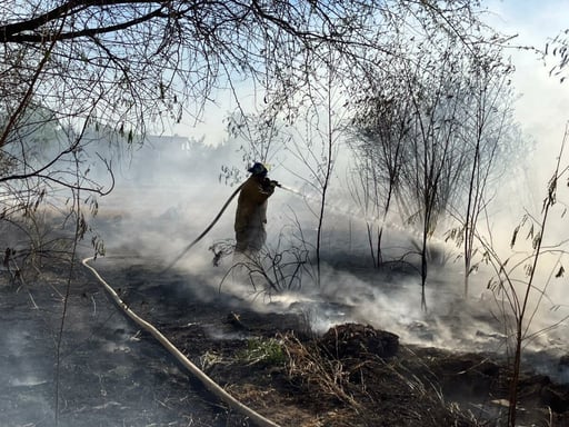 Rápida intervención evita propagación del fuego.  Un incendio registrado en un lote baldío generó la movilización de cuerpos de emergencia la tarde de este