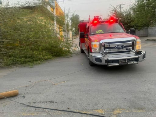 Tolvaneras y rachas de viento de hasta 36 km/h provocaron la caída de árboles y afectaciones en Torreón, donde Protección Civil atendió diversos reportes