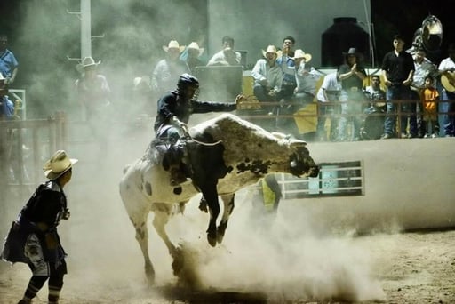 Coahuila vive una exitosa primera semana vacacional con alta afluencia turística y resultados positivos en economía.  Coahuila registró una alta afluencia