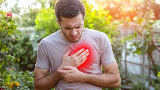 El corazón es el motor principal del organismo, responsable de llevar sangre y oxígeno a todos los tejidos. Aunque trabaja de manera constante