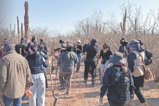 Amnistía Internacional reporta aumento de desapariciones en México y cuestiona la respuesta oficial, mientras persisten preocupaciones por derechos humanos