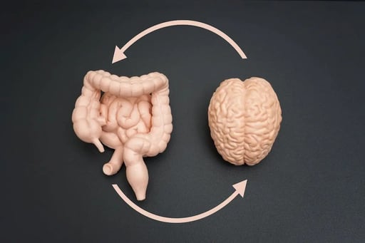 El eje intestino-cerebro, que describe la comunicación constante entre el sistema digestivo y el sistema nervioso, ha despertado gran interés en áreas como