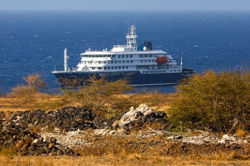 El crucero de lujo MV Hondius se convirtió en el epicentro de una alerta sanitaria internacional tras confirmarse un brote de hantavirus durante una travesía