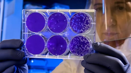 Una terapia experimental basada en células inmunitarias modificadas genéticamente podría representar un avance importante en la búsqueda de una cura funcional