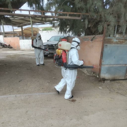 La Dirección General de Salud Pública Municipal reiteró que continuará trabajando de manera coordinada y permanente en acciones preventivas  Torreón, Coahuila.