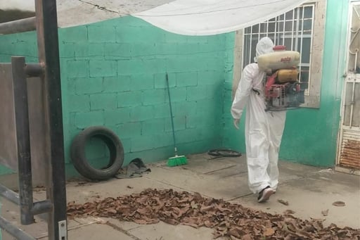 La Dirección de Salud Pública de Torreón reforzó las brigadas de fumigación y control de roedores en diversas colonias para prevenir riesgos sanitarios