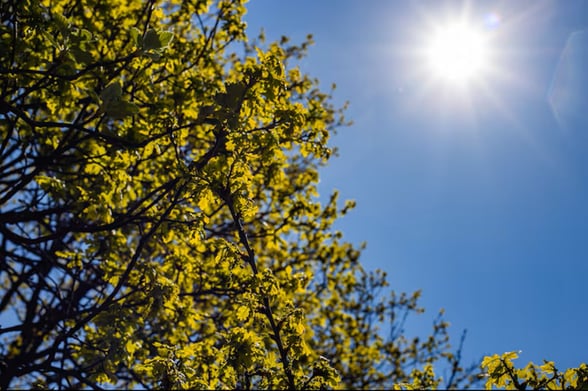 CLIMA  Protección Civil Sabinas informa que esta semana predominará el clima cálido, con cielos despejados y condiciones secas en la región.  El Centro de Pronóstico
