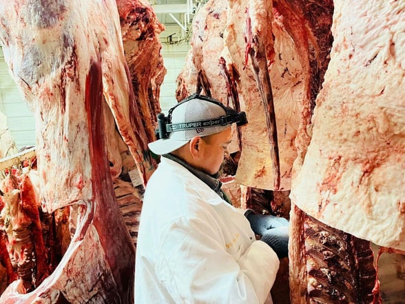 GANADERÍA Las pérdidas en el sector, por año son 60 mil cabezas de ganado las que se envían a EU y hasta la fecha están más de 80 mil en espera, afectadas por el cierre