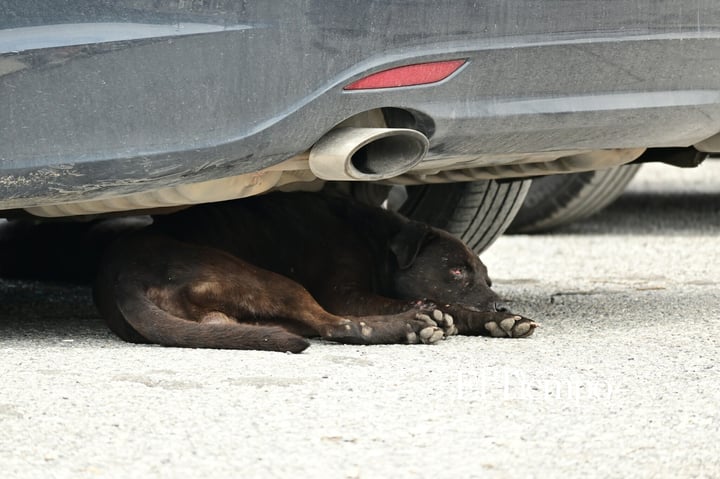 Galería fotográfica: Fragmentos de ciudad: realidades que conviven en el centro de Monclova