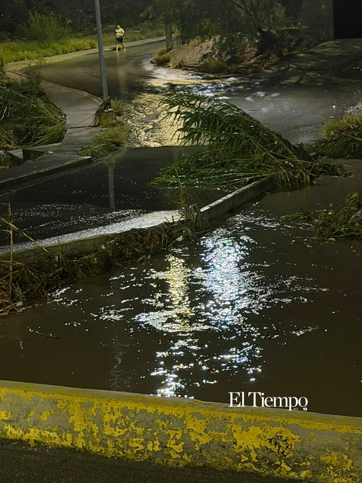 Galería fotográfica: Monclova bajo el agua; cuerpos de rescate atienden emergencias durante intensa tormenta