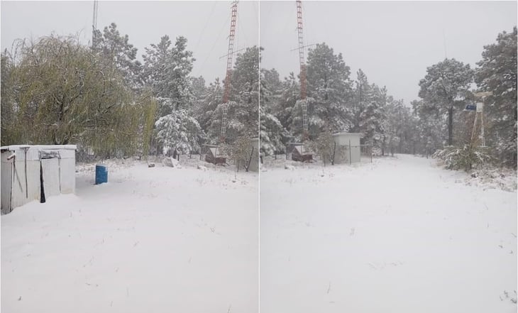 Tormenta invernal impacta Chihuahua; nevadas, vientos y daños en servicios básicos