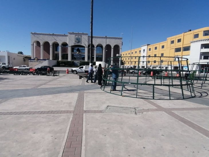 Pinos gigantes y viña navideña colocan en plaza principal