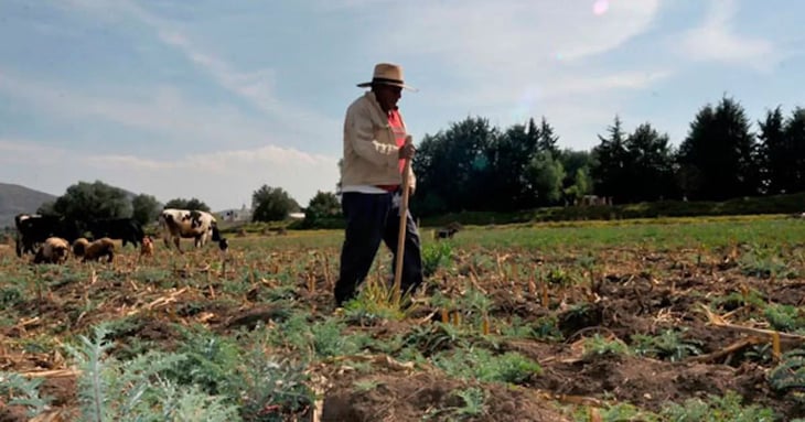 Reducción de presupuesto federal perjudica al campo