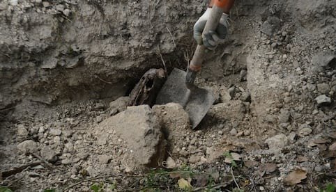 Hallan presunto narco campamento y fosa con cuerpos humanos en Guadalcázar, SLP