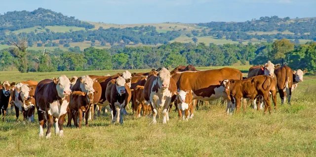 El invierno ayuda al control de plagas y mejora el campo