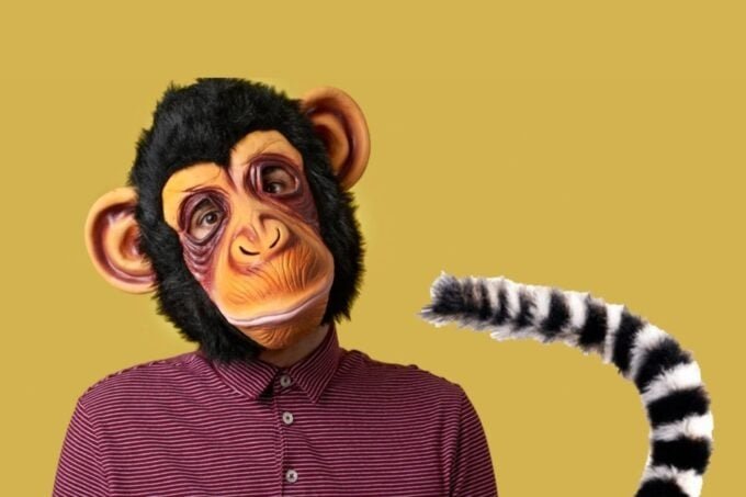 Sorprendente mutación genética que explica por qué los humanos no tenemos cola