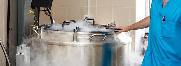 Fresco Mejor Que Congelado Para FIV