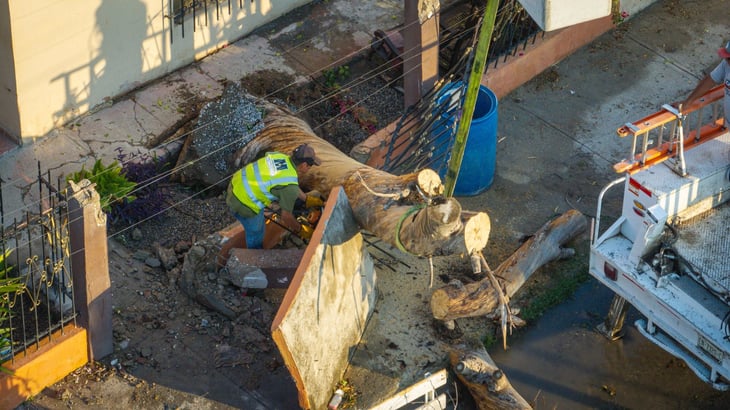 Monclova activa operativo por lluvias: atienden caída de árboles e inundaciones