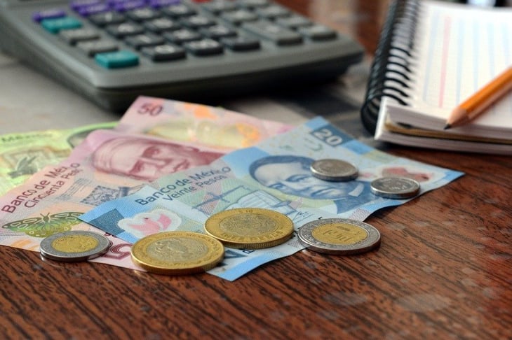 Salario mínimo; insuficiente para poder tener una vida digna