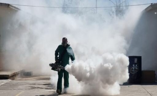Fumigarán colonias prioritarias por presencia de mosco Culex en Piedras Negras
