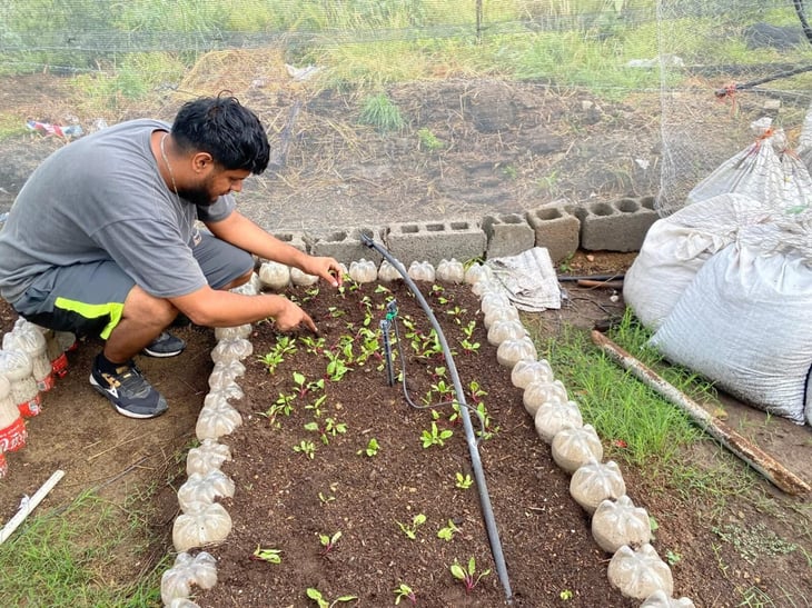 Alumnos del TecNM campus Múzquiz combinan tecnología y agricultura en proyectos productivos