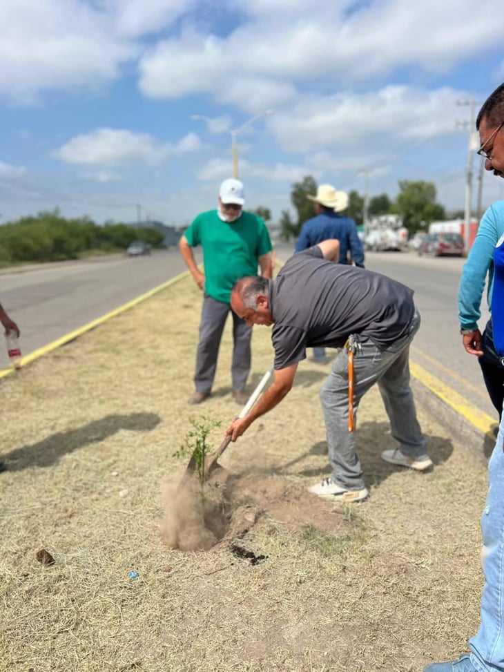 Campaña de reforestación impulsa mejoramiento ambiental en Sabinas