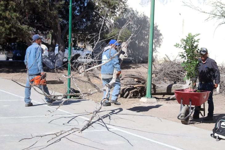 Industrial Minera México dona 90 mil árboles a CONANP para reforestar la región carbonífera de Coahuila.