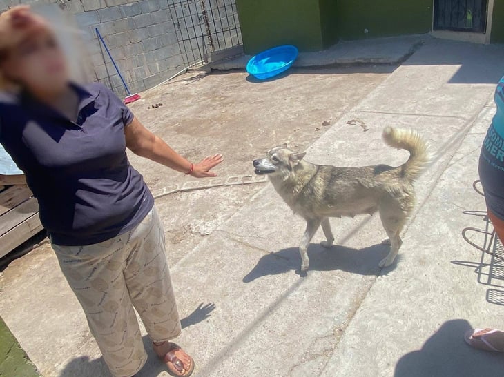 Trabajador de Frontera Limpia es mordido por perro durante labores en Villas del Carmen