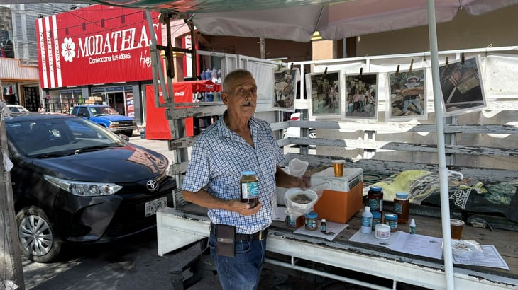 Calor y el cambio climático reducen la población de abejas