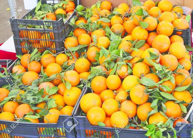 Comercios ofertan las primeras cosechas de productos otoñales