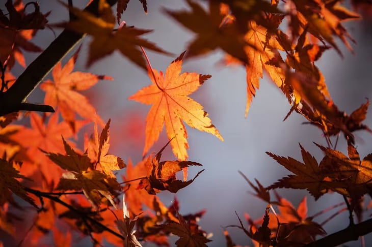 ¡El otoño llega! Descubre la hora exacta del equinoccio 2025