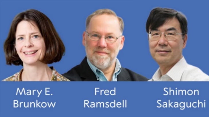 Nobel de Medicina para Brunkow, Ramsdell y Sakaguchi