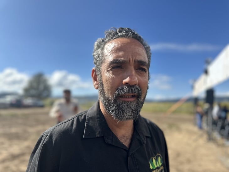 Pino culminícola en riesgo por cambio climático en Arteaga