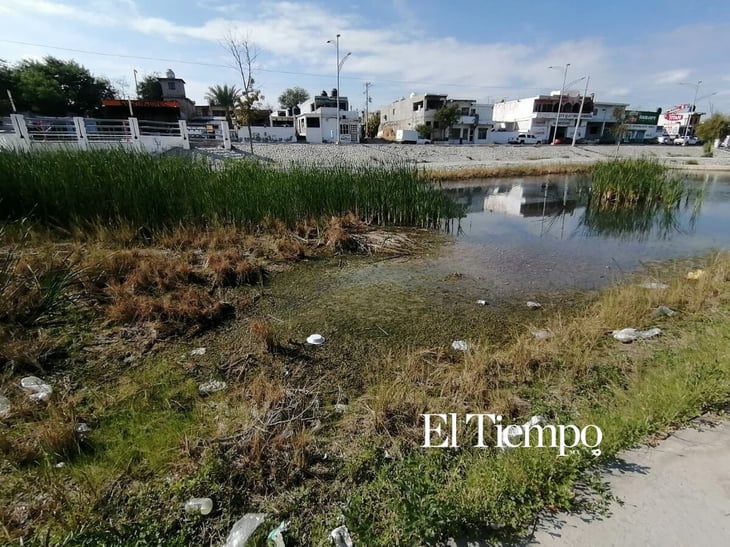Río Monclova avanza hacia ser declarado sitio de recuperación ecológica; brotan 'ojitos' de agua y regresan los patos