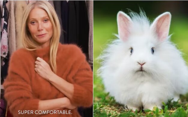 Gwyneth Paltrow retira lana de angora de Goop tras denuncia animalista