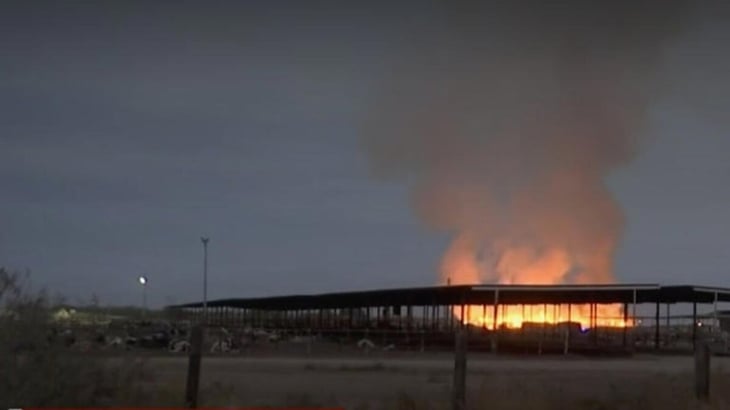 Tres años de incendios en forrajes mantienen en alerta a La Laguna