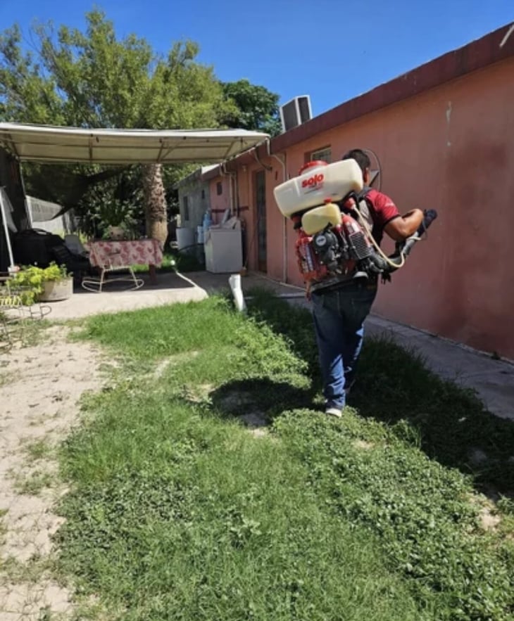 Vigilancia epidemiológica no espera confirmaciones para actuar contra el dengue