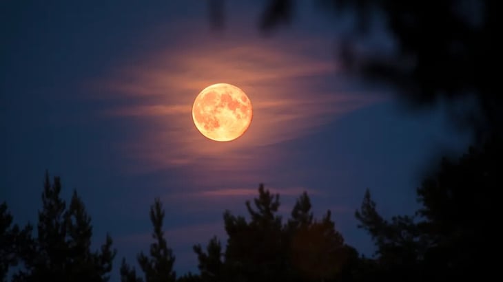 Enero inicia con Superluna: fecha y hora exacta del fenómeno astronómico