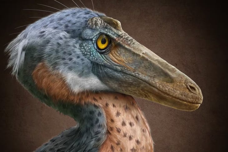 Descubren en Coahuila nuevo dinosaurio carnívoro Xenovenator espinosai