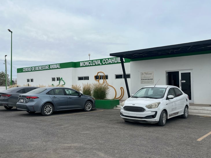 Centro de Bienestar Animal de Monclova difunde canales formales para reportar maltrato animal