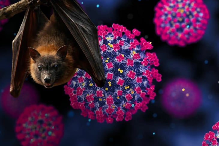 Virus Nipah: OMS asegura que brote en India no requiere cerrar fronteras