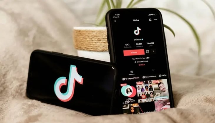 foto TikTok se consolida como canal de negocio para Pymes en México
